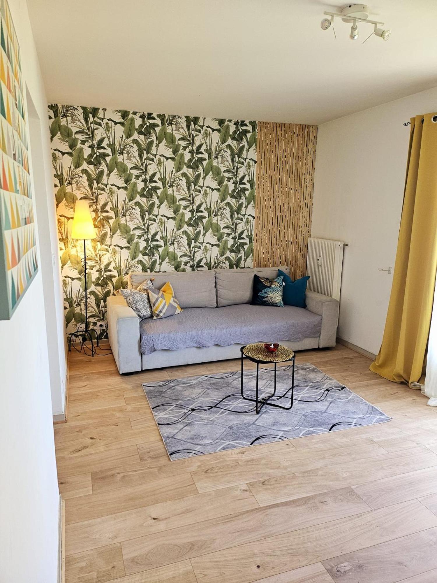 Paradise Apartment Near Downtown Lake & Free Parking - Local Bike 안시 외부 사진